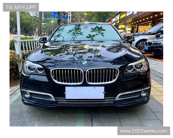 10万出头圆梦蓝天白云,17款宝马5系香不香?