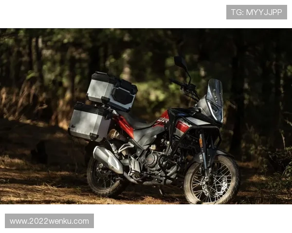 11988元起，赛科龙RC250、RX600、RA2新款上市