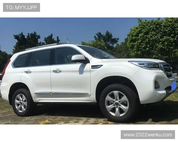 11.38万提辆新款传祺GM6，行驶1200公里后，车主终于说了句大实话